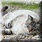 Sitges
Camping 'El Garrofer'