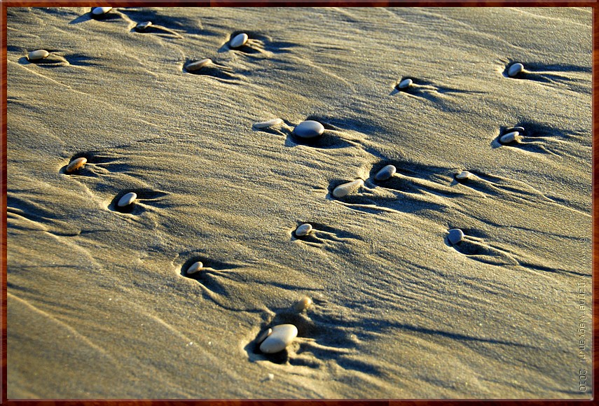 DSC_6306.JPG