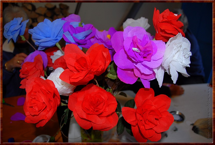 DSC_9071.JPG