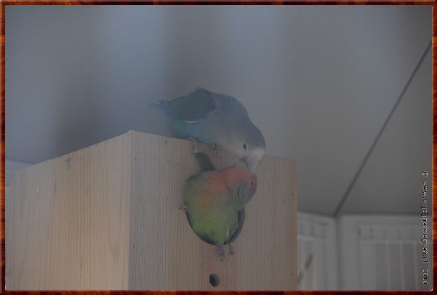 DSC_2169.JPG
