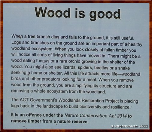

Canberra - Red Hill Reserve
Wood is good!  -  6/22