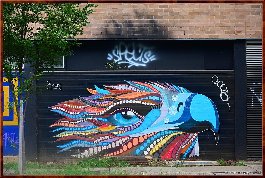 

Canberra
Mort Street  -  16/23