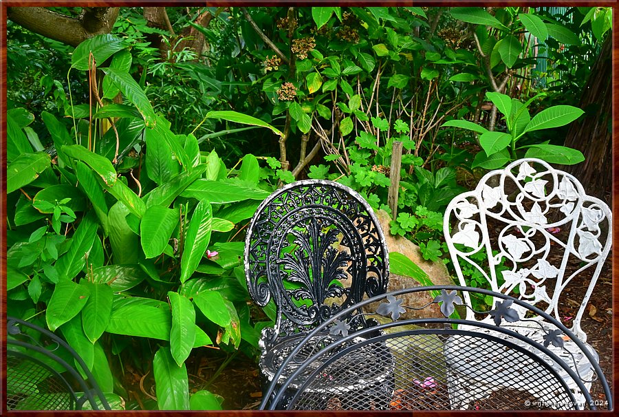 

Sydney, Wendy's Secret Garden
In deze knusse tuin vinden we zeker 25 zitjes!  -  43/49