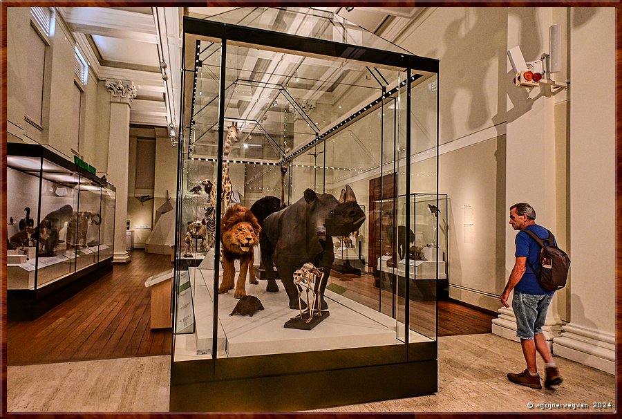 

Sydney
Australian Museum
Zoogdieren  -  57/71