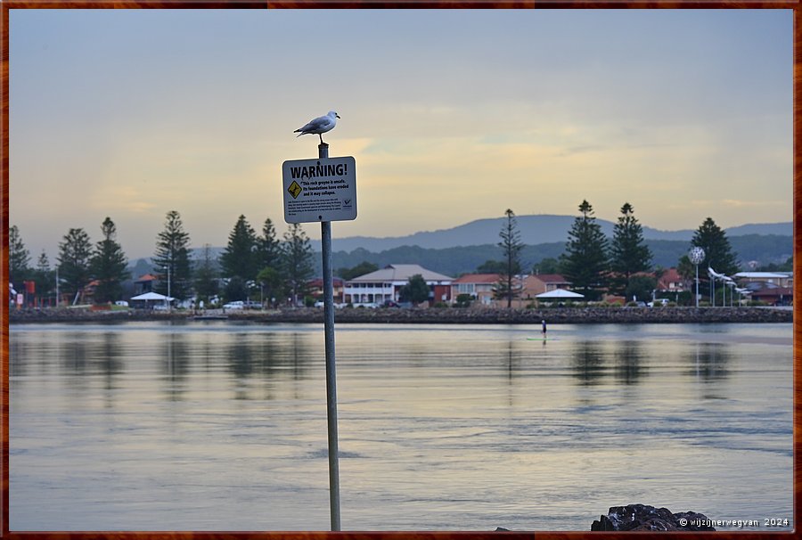 

Windang
Lake Illawarra
Zilvermeeuw  -  10/14