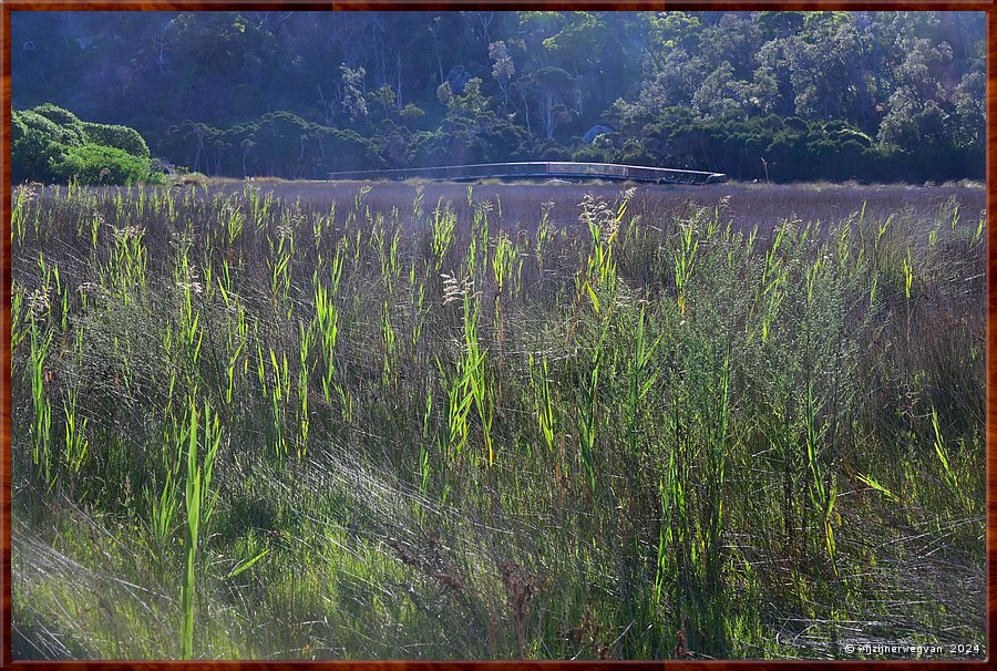 

Wilsons Promontory National Park
Loo Errn Track
Tidal River, voetbrug  -  31/35