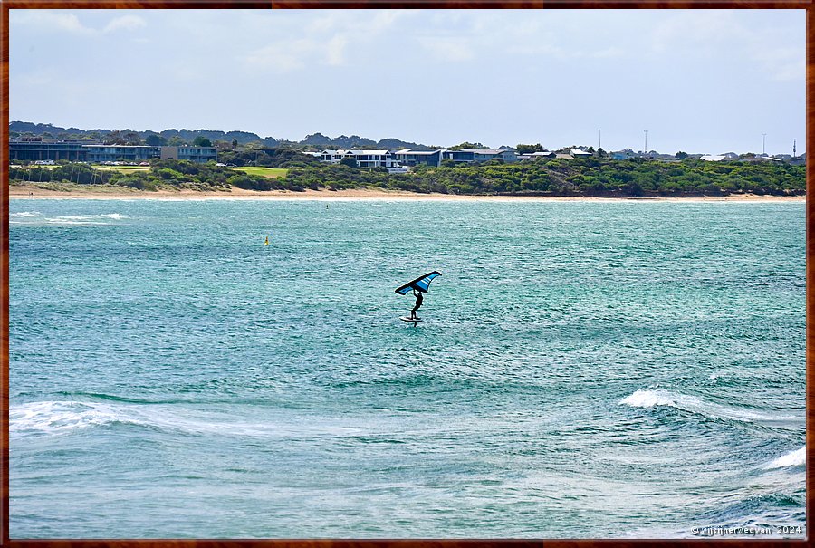 

Torquay
Surf Coast Walk  -  42/52