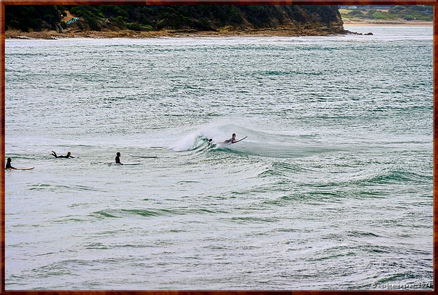 

Torquay
Surf Coast Walk  -  43/52