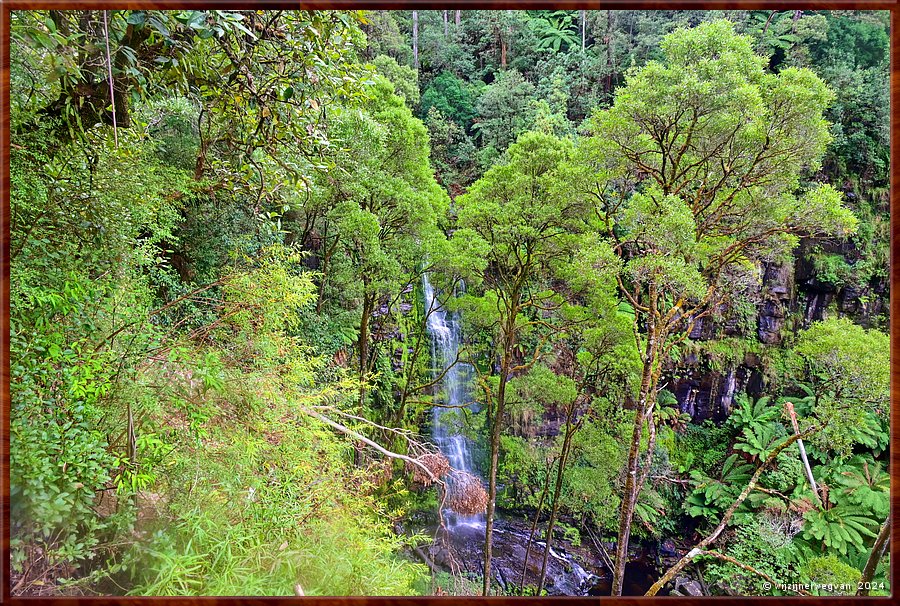 

Great Otway National Park
Erskine Falls  -  29/56