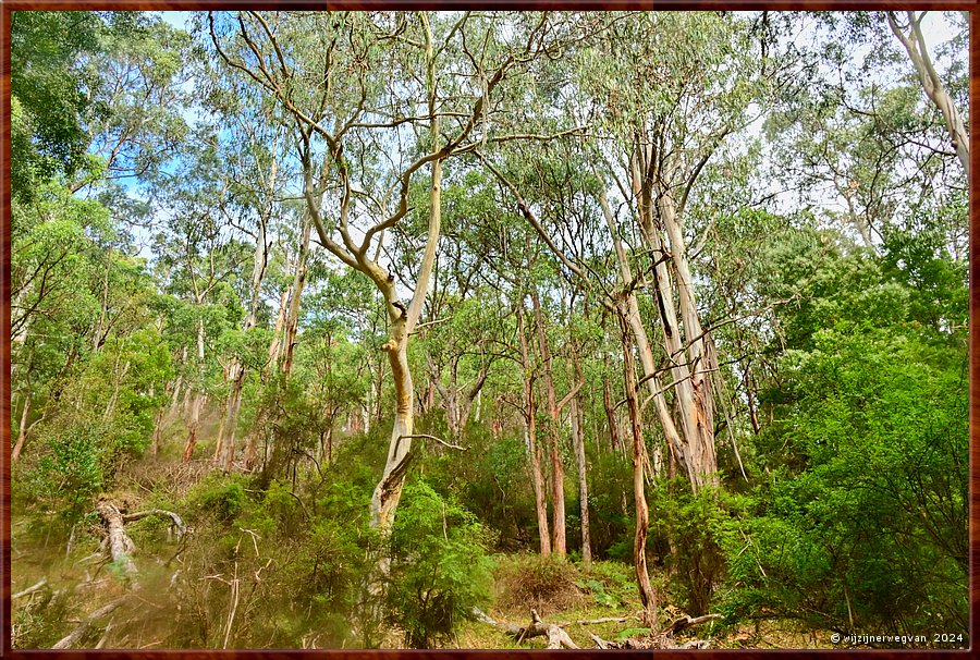 

Kennett River 
Kennett River Nature Walk  -  21/40