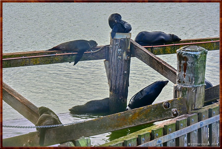 

Goolwa
Goolwa Barrage
En zij hebben wel interesse in die vispassages ...  -  15/42