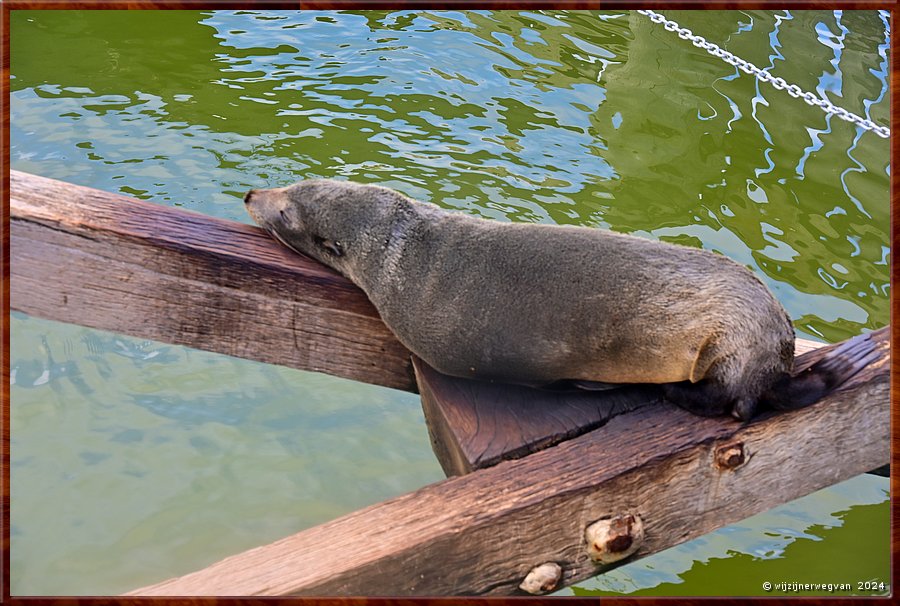

Goolwa
Goolwa Barrage
Misschien nu even niet ...  -  16/42