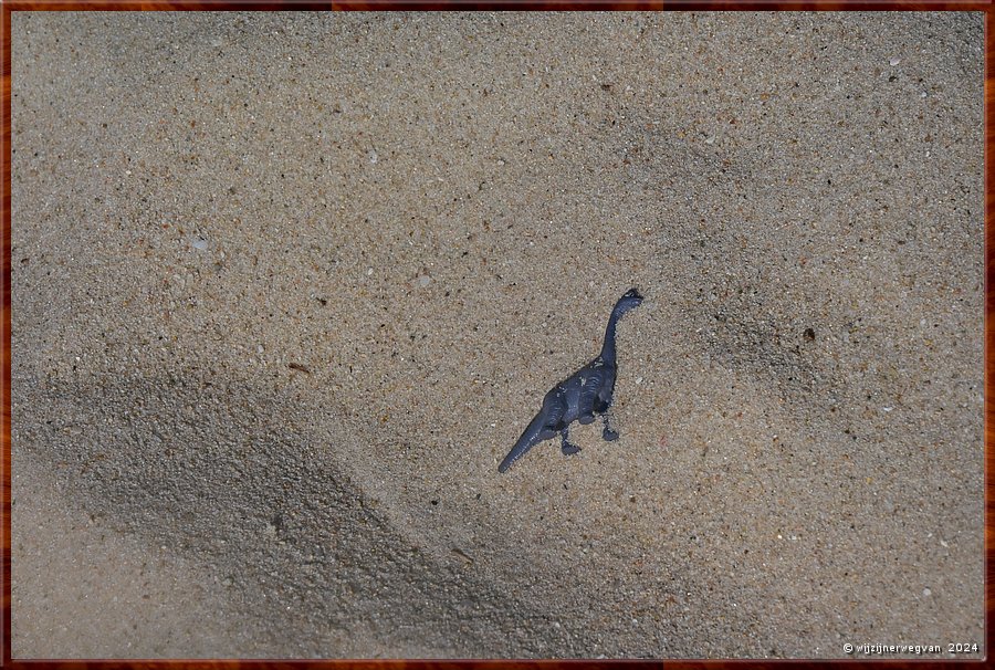 

Normanville
Carrickalinga beach
Een oplettend wandelaar spot hier zelfs dinos !  -  6/21