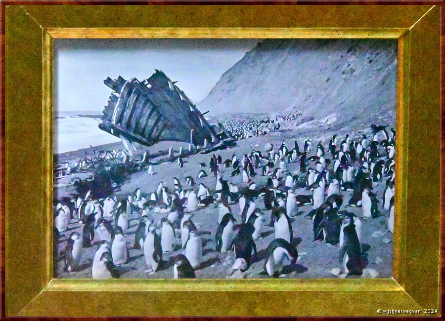 

Adelaide
South Australian Muaseum  
'Maswon's Nimrod Expedition'  -  21/45