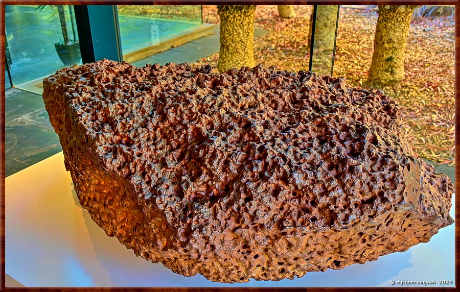 

Adelaide
South Australian Muaseum  
Mundrabilla meteoriet 
4,5 miljard jaar oud
Nullarbor Plain, Western Australia, gevonden in 1966  -  29/45