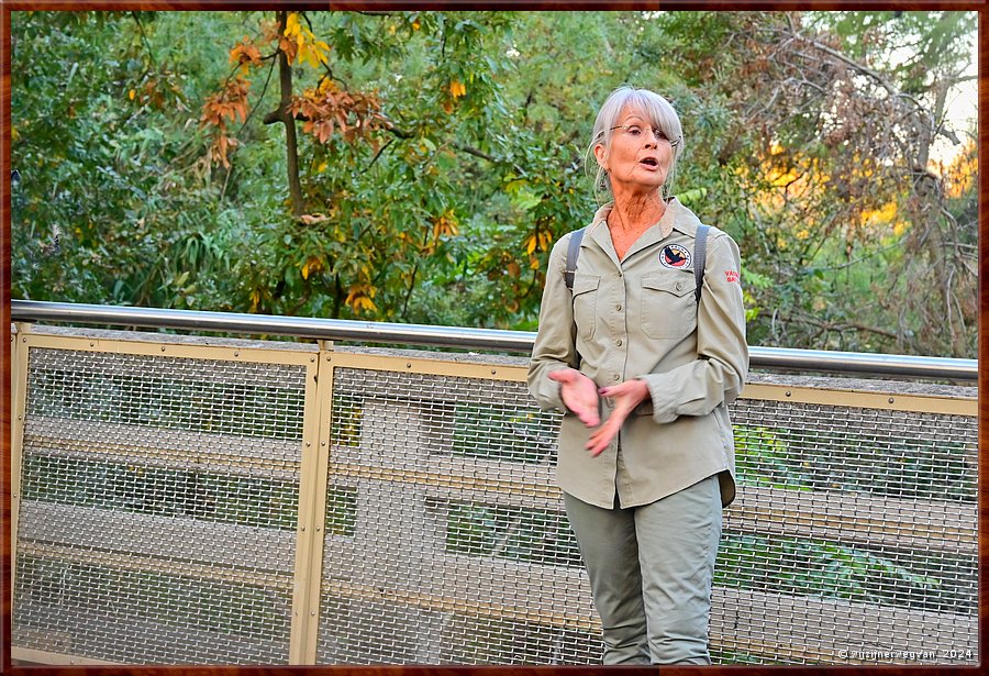 

Adelaide, Botanic Park
Torrens, rivier
Fauna Rescue South Australia, Talking Batty
'Angels of the Night, Grey Headed Flying Fox Colony Guided Tour'
Shane vertelt over de 60.000 vleerhonden in deze kolonie, 
die zo meteen allemaal zullen uitvliegen!  -  41/45