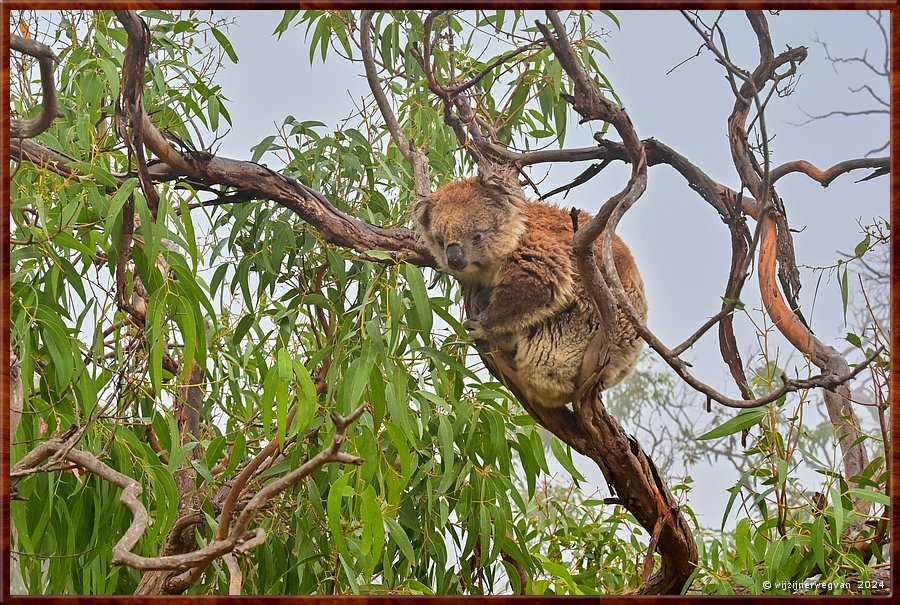 

Mikkira Station 
Good morning!  -  1/43