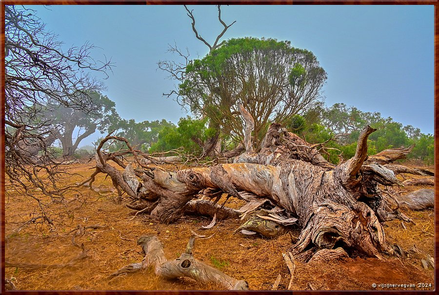 

Mikkira Station 
Natuur sculptuur  -  4/43