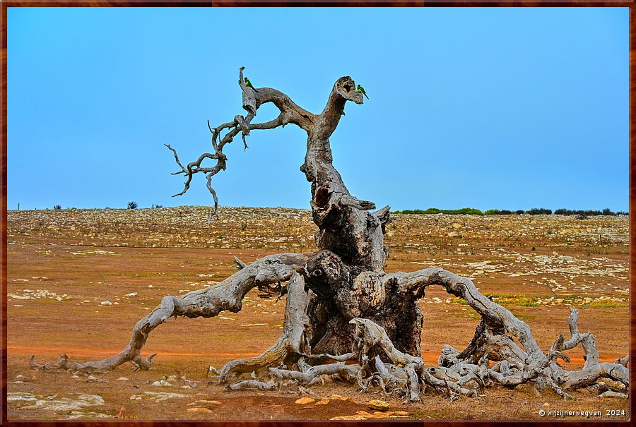 

Mikkira Station  -  18/43