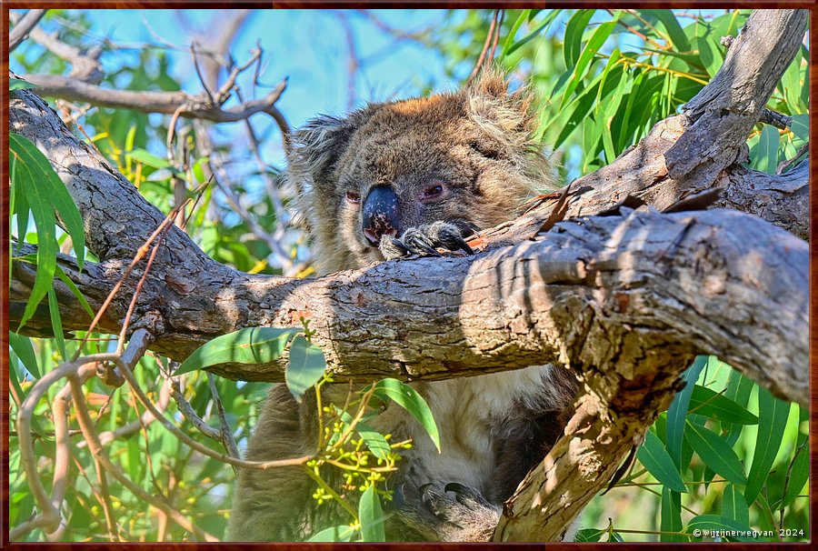 

Mikkira Station  -  26/43