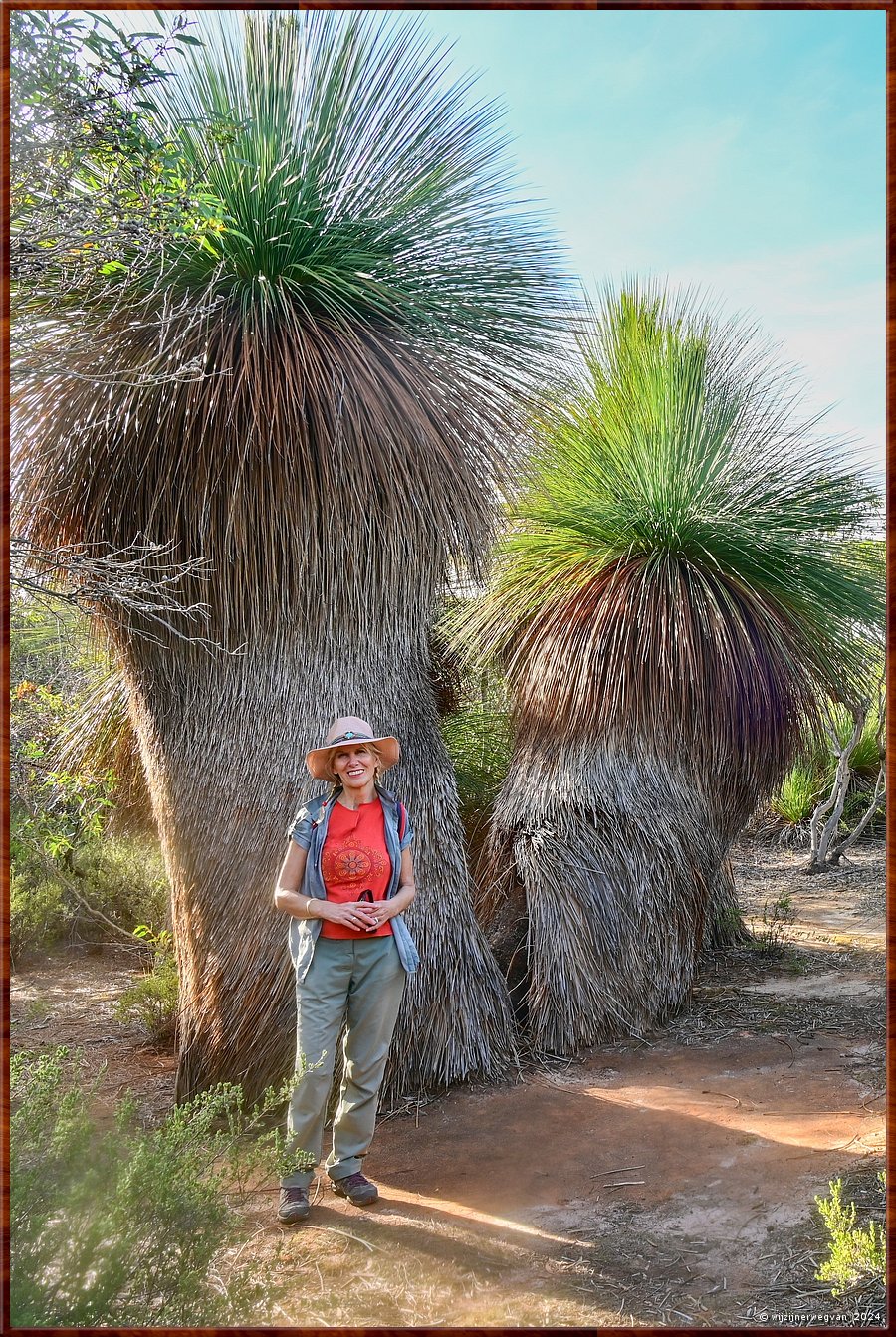 

Mikkira Station 
Giant yakka  -  32/43