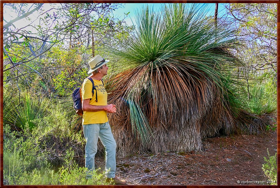 

Mikkira Station 
Giant yakka
Waar zijn die reuze asperges ...  -  34/43