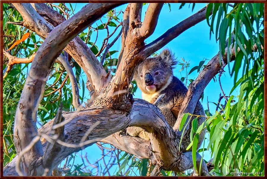 

Mikkira Station 
Even denken - wat moet ik hier ook alweer  -  38/43
