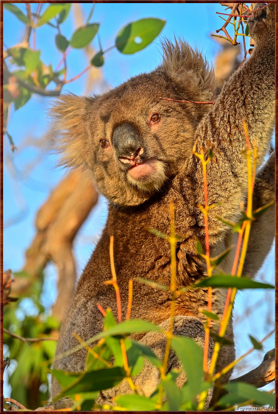 

Mikkira Station 
Even strekken  -  39/43