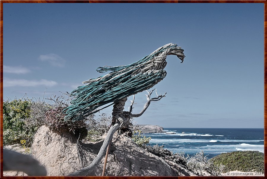 

Elliston
Cliff Top Drive
'Osprey nest (visarend nest)', Thomas Tesselaar (2002)
De bedreigde visarend nestelt hier langs de rotsachtige kliffen. 
Deze visarend is gemaakt van koper en aluminium.  -  19/43
