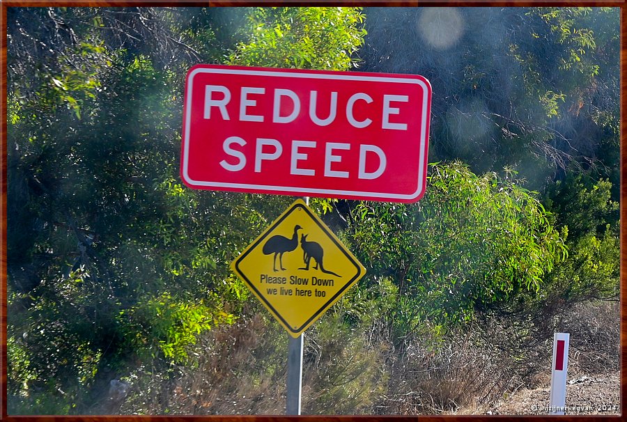 

Coffin Bay  -  16/34