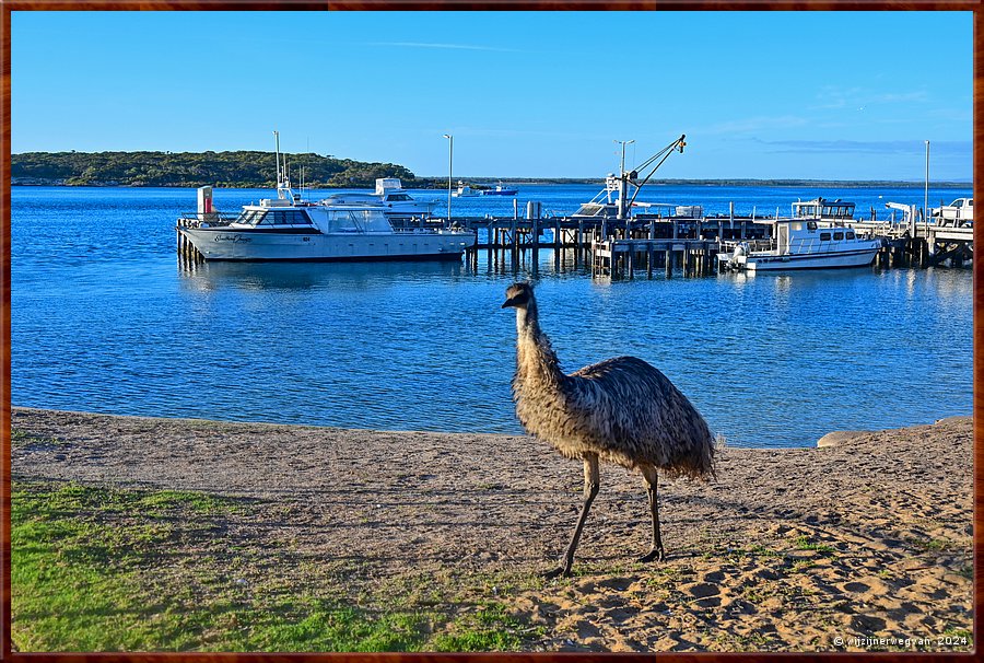 

Coffin Bay
Esplanade
Emoe struint voorbij  -  27/34
