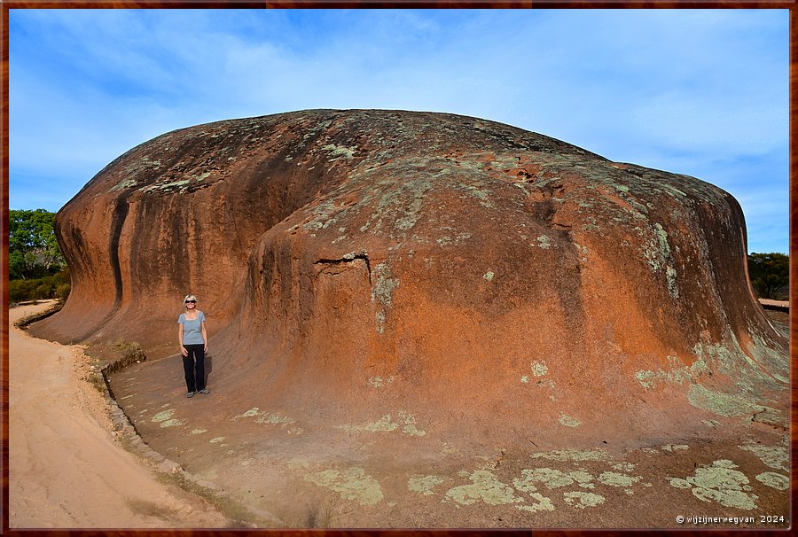 

Minnipa
Pildappa Rock
Een granieten inselberg  -  15/27