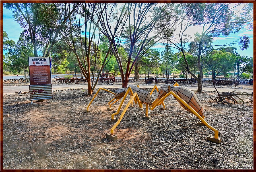 

Poochera
Poochera District Museum
'Dinosaur Ant'
Hier ontdekt in 1977  -  16/25