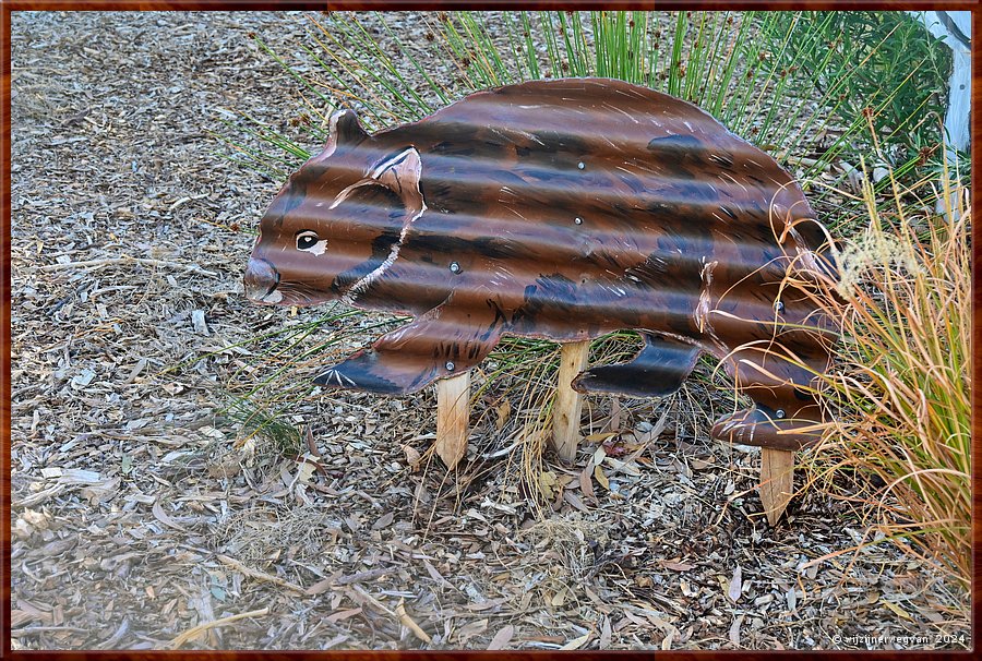 

Puntabie
Puntabie Rest Area
Golfplatenwombat  -  22/25