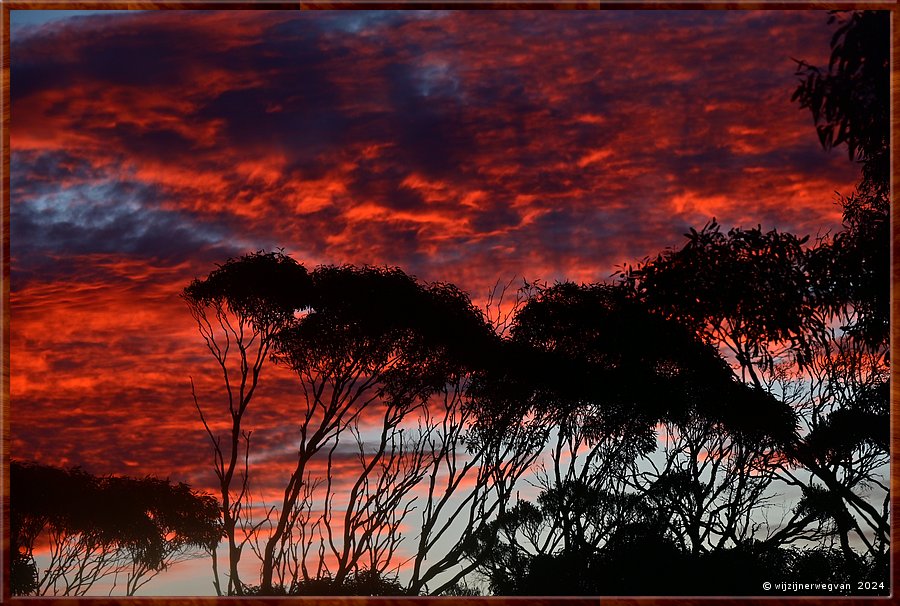 

Merghiny
Thick Trees Camp Spot  -  24/25