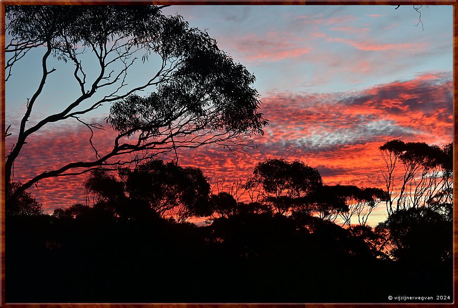 

Merghiny
Thick Trees Camp Spot  -  25/25
