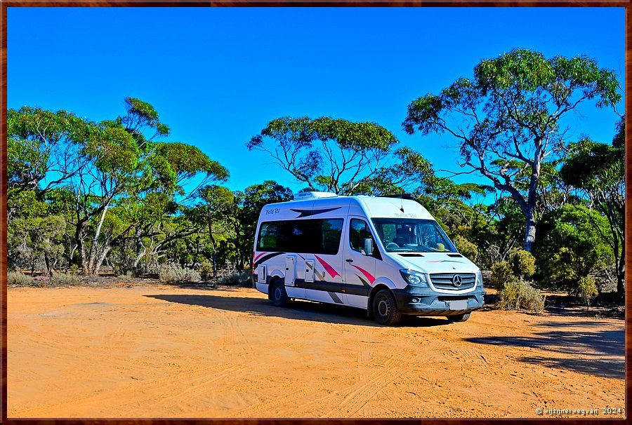 

Merghiny
Thick Trees Camp Spot  -  1/9