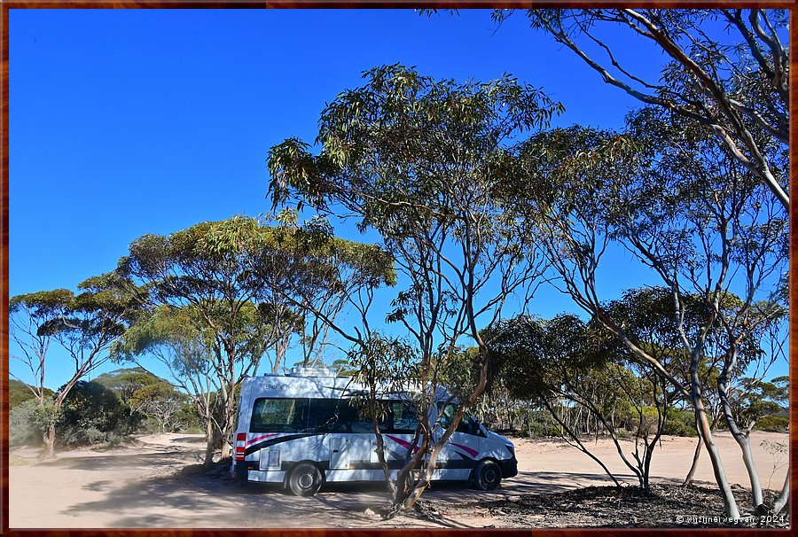 

Nullarbor Plain
Nundroo
Kidnippy Rest Area
Slapen onder eucalyptus  -  28/31