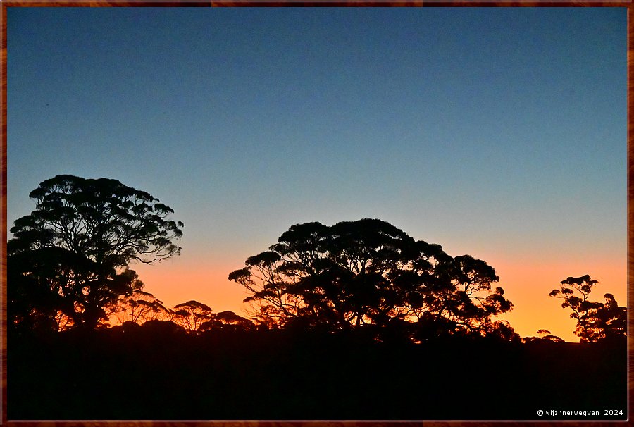 

Nullarbor Plain
Nundroo
Kidnippy Rest Area  -  31/31
