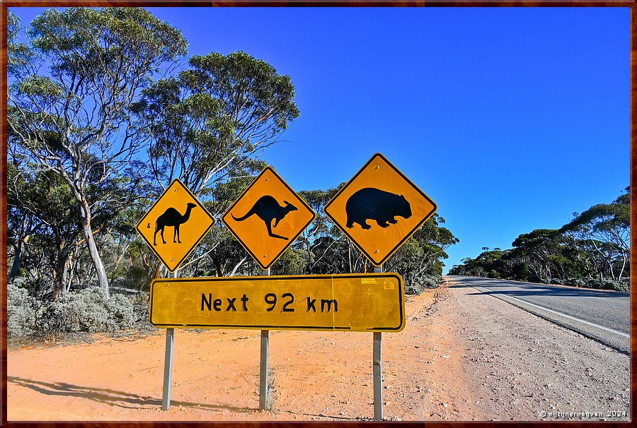 

Nullarbor Pain 
Eyre Highway  -  5/41