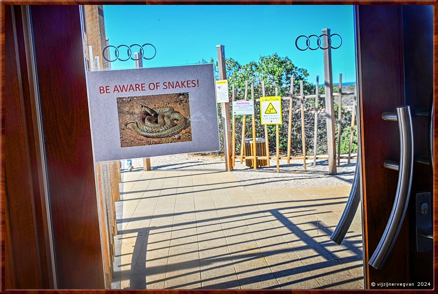 

Nullarbor Pain 
Head of Bight
Be aware of snakes! Oei...  -  16/41