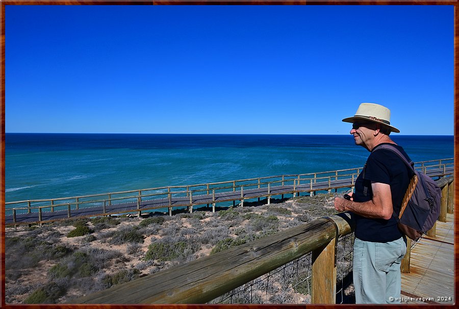 

Nullarbor Pain 
Head of Bight
En nu goed kijken!  -  17/41