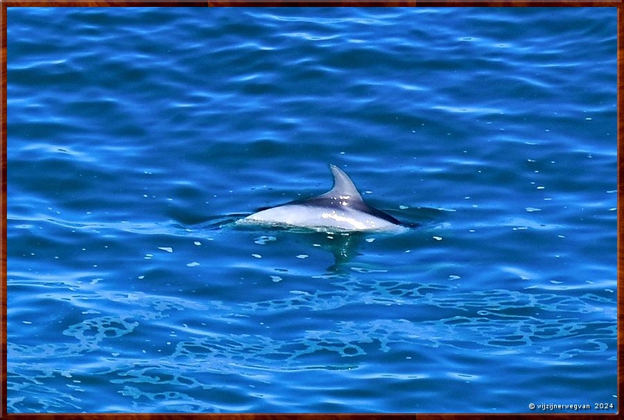

Nullarbor Pain 
Head of Bight
Van links naar rehechts  -  22/41
