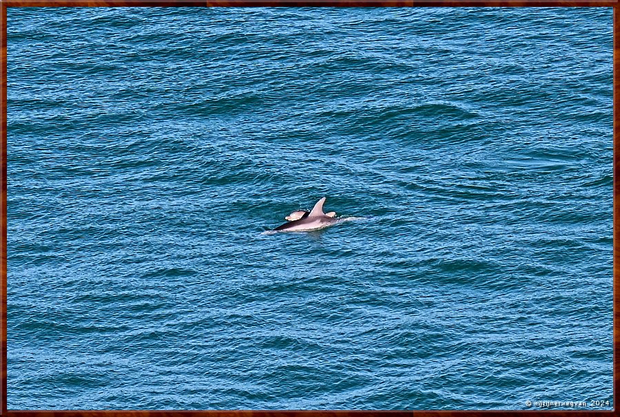 

Nullarbor Pain 
Head of Bight
Opduiken  -  28/41