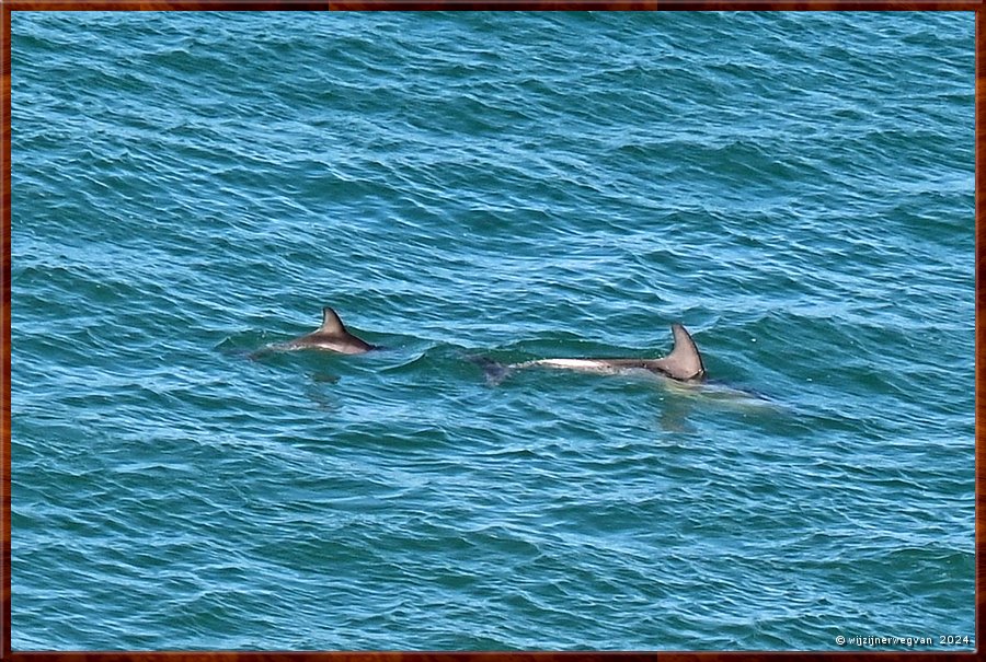 

Nullarbor Pain 
Head of Bight
Tikkertje  -  30/41