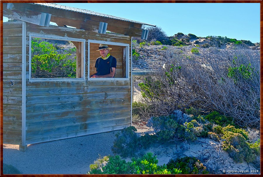 

Nullarbor Pain 
Head of Bight
De spotter gespot!  -  32/41