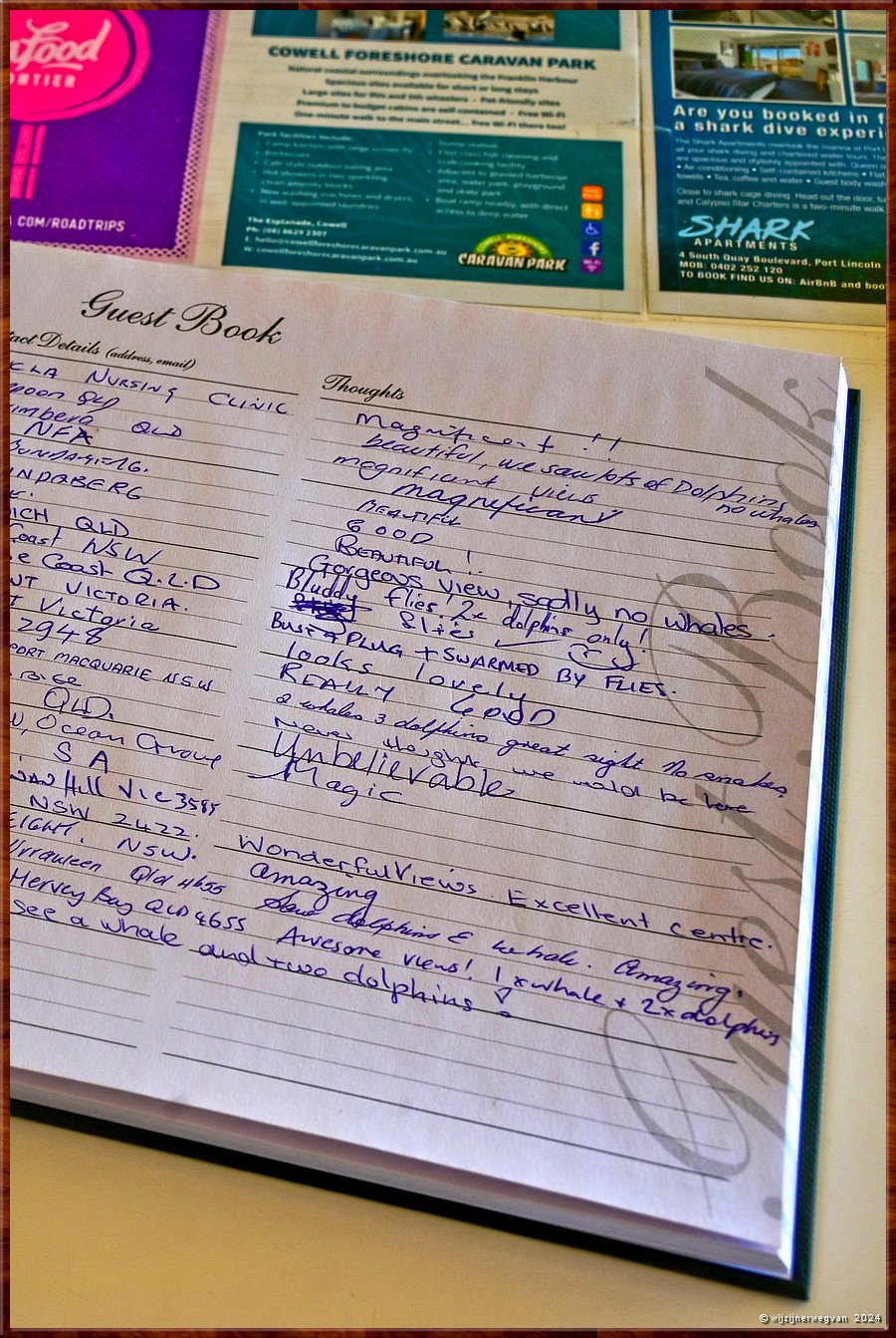 

Nullarbor Pain 
Head of Bight
Gastenboek, v��r gisteren is er nog geen walvis gesignaleerd  -  35/41