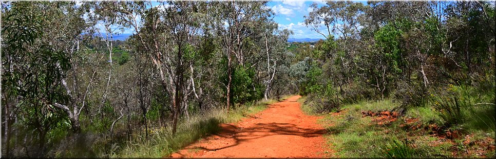 12 jan 2024 - Canberra - Red Hill Reserve