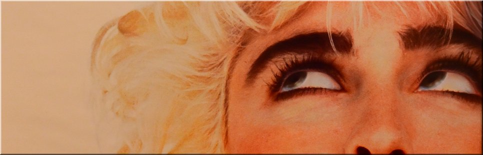 14 jan 2024 - Canberra Museum And Gallery (CMAG) - 'Madonna 40' expositie