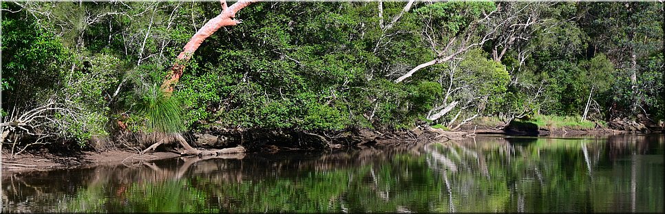 20 januari 2024 - Sydney, St Ives - Middle Harbour Creek